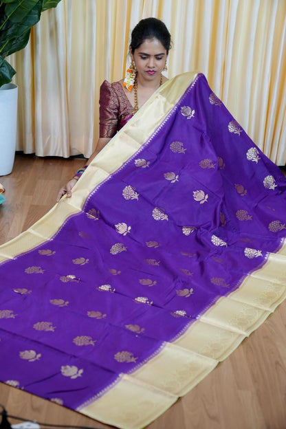 Premium warm silk saree🥳