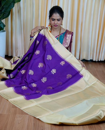 Premium warm silk saree🥳