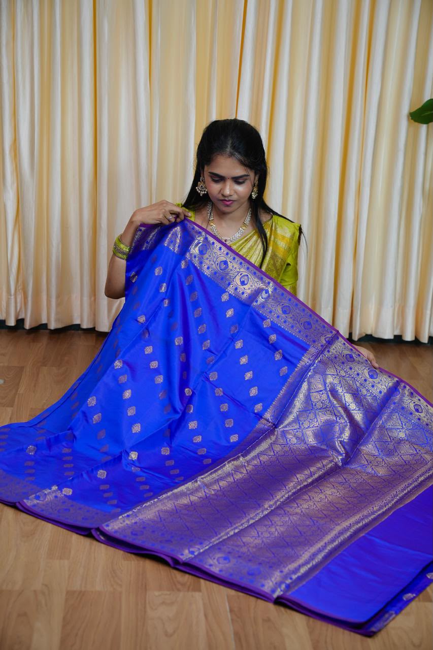Kanchi soft silk sarees🥳