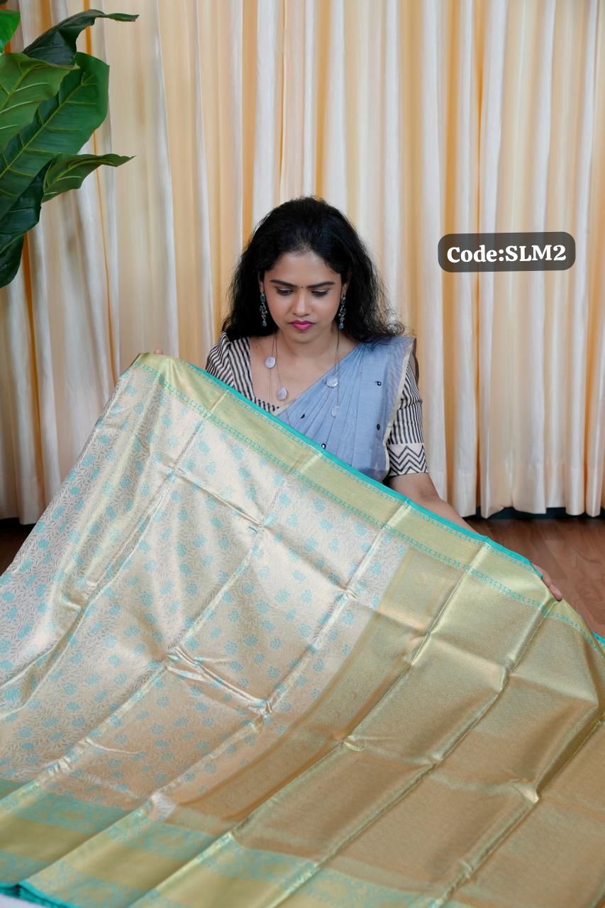 Bridal pattu sarees🥰Ⓜ️