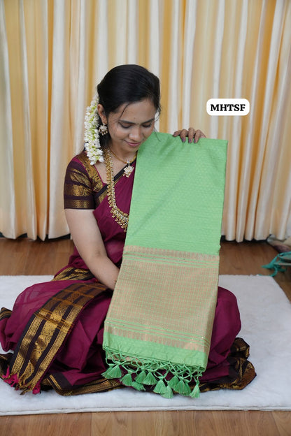 Tussar soft silk saree with sequence work🥰🥳