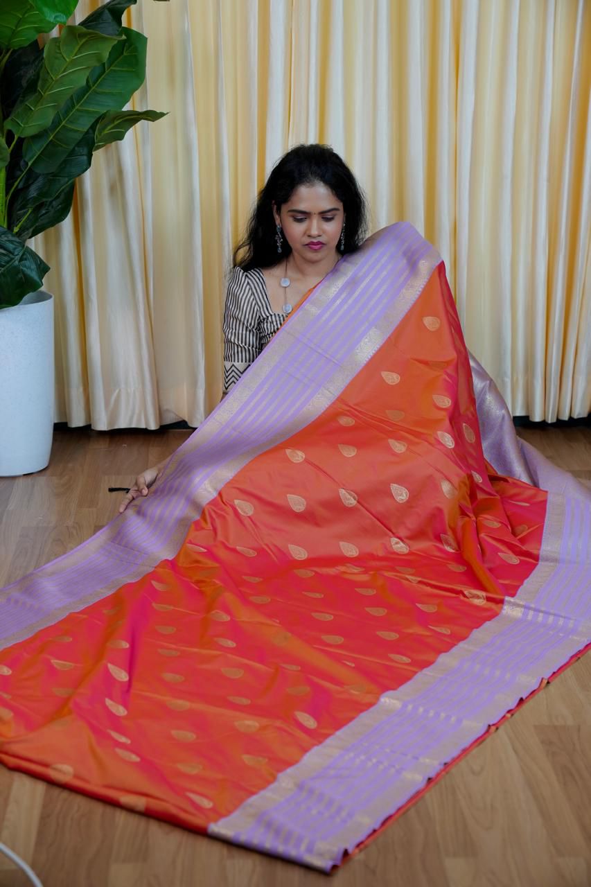 Premium Kanchi silk sarees🎁