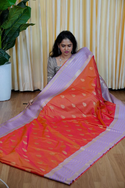 Premium Kanchi silk sarees🎁