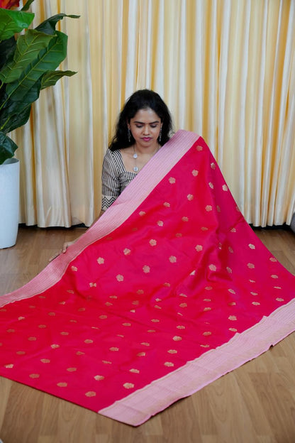 Premium Kanchi silk sarees 🥰😎📚