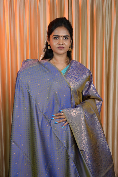 Kanchi semi silk saree-🥰😎📚