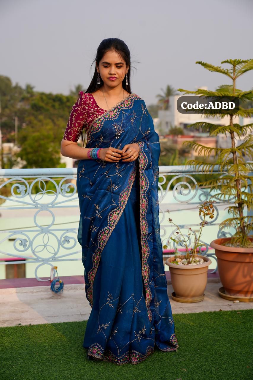 Space silk saree with embroidery blouse 🥰😎📚