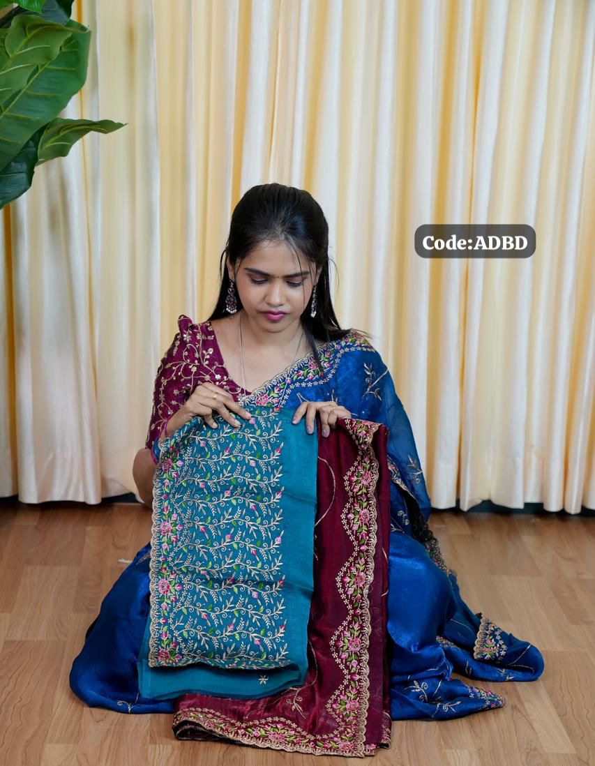 Space silk saree with embroidery blouse😍🥰😎📚