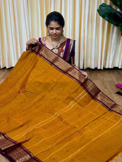 Premium Kanchi cotton saree🥰😎📚