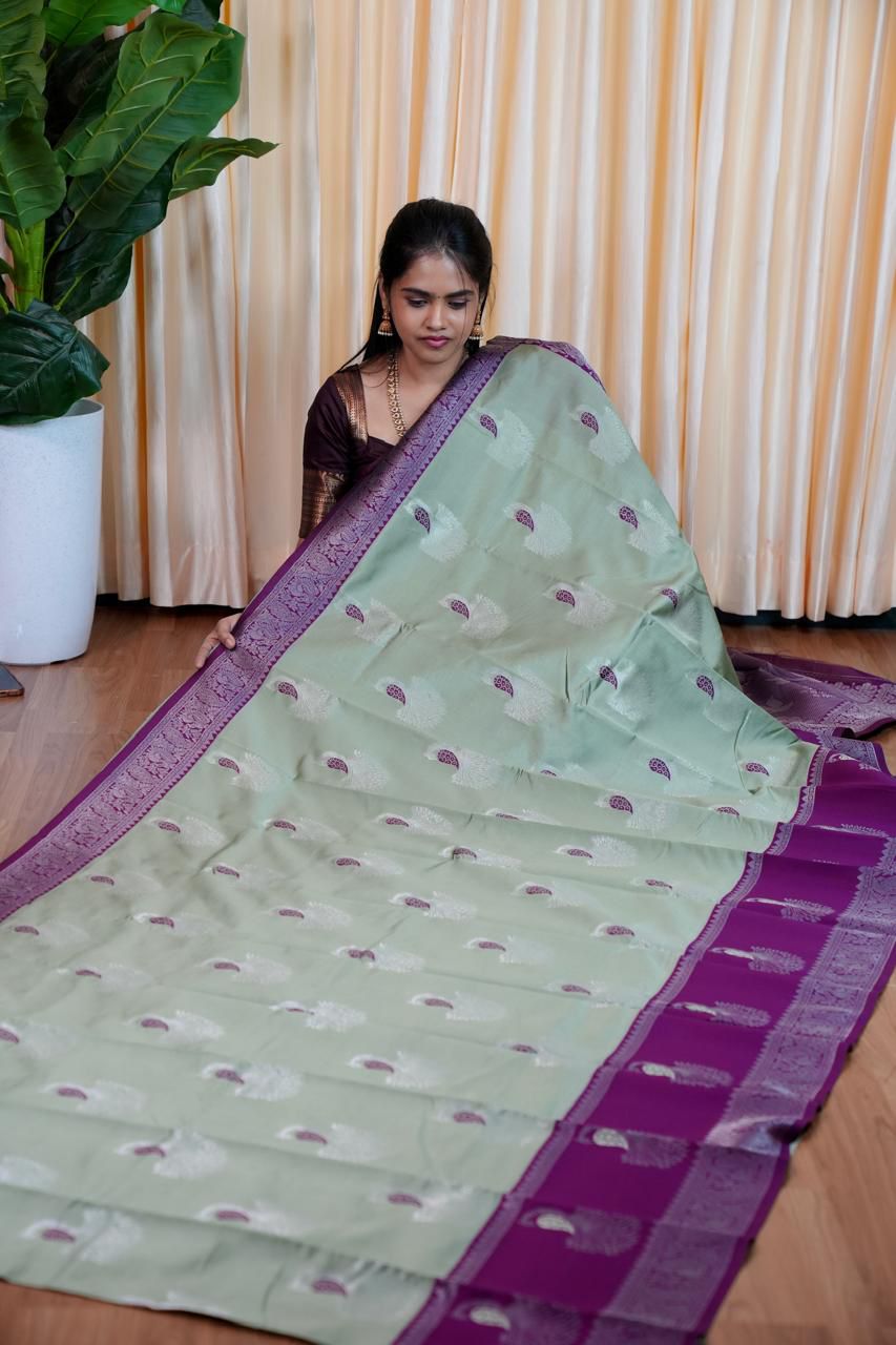 Kanchi semi silk sarees🥰😎📚