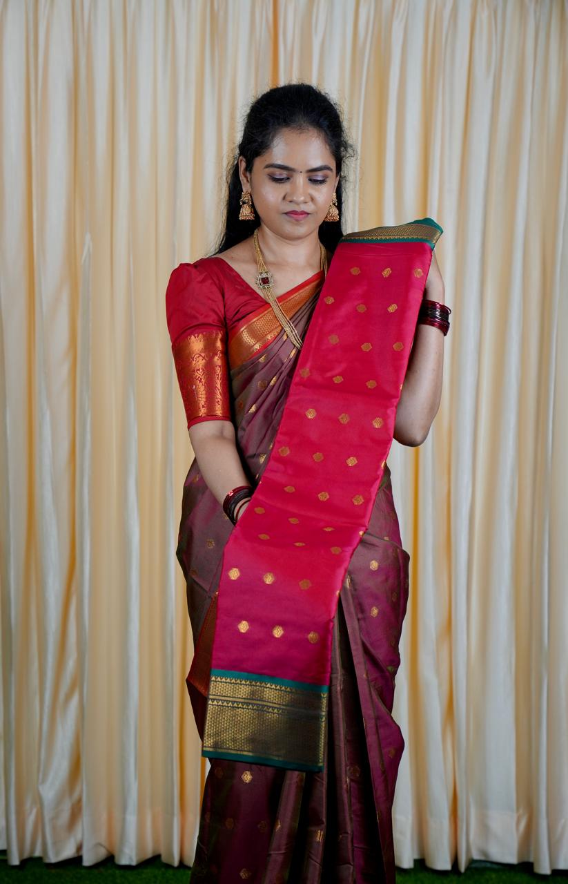 Kalyani Soft silk Saree🥳