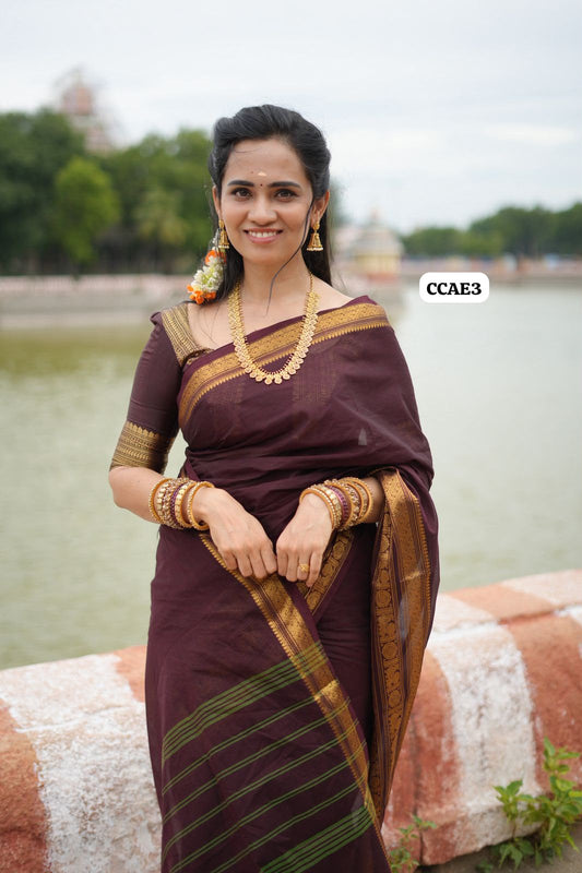 Kanchi cotton saree(slight design change)(Animal prints)-Prebook😍😎⏰📚