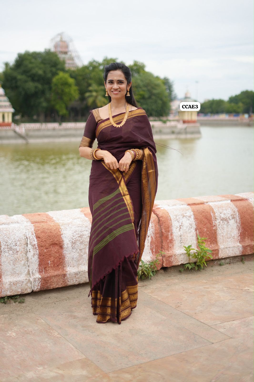 Kanchi cotton saree(slight design change)(Animal prints)😍😎📚