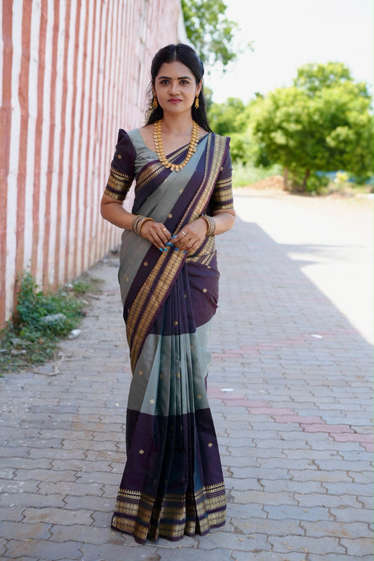Kanchi semi silk sarees🥳
