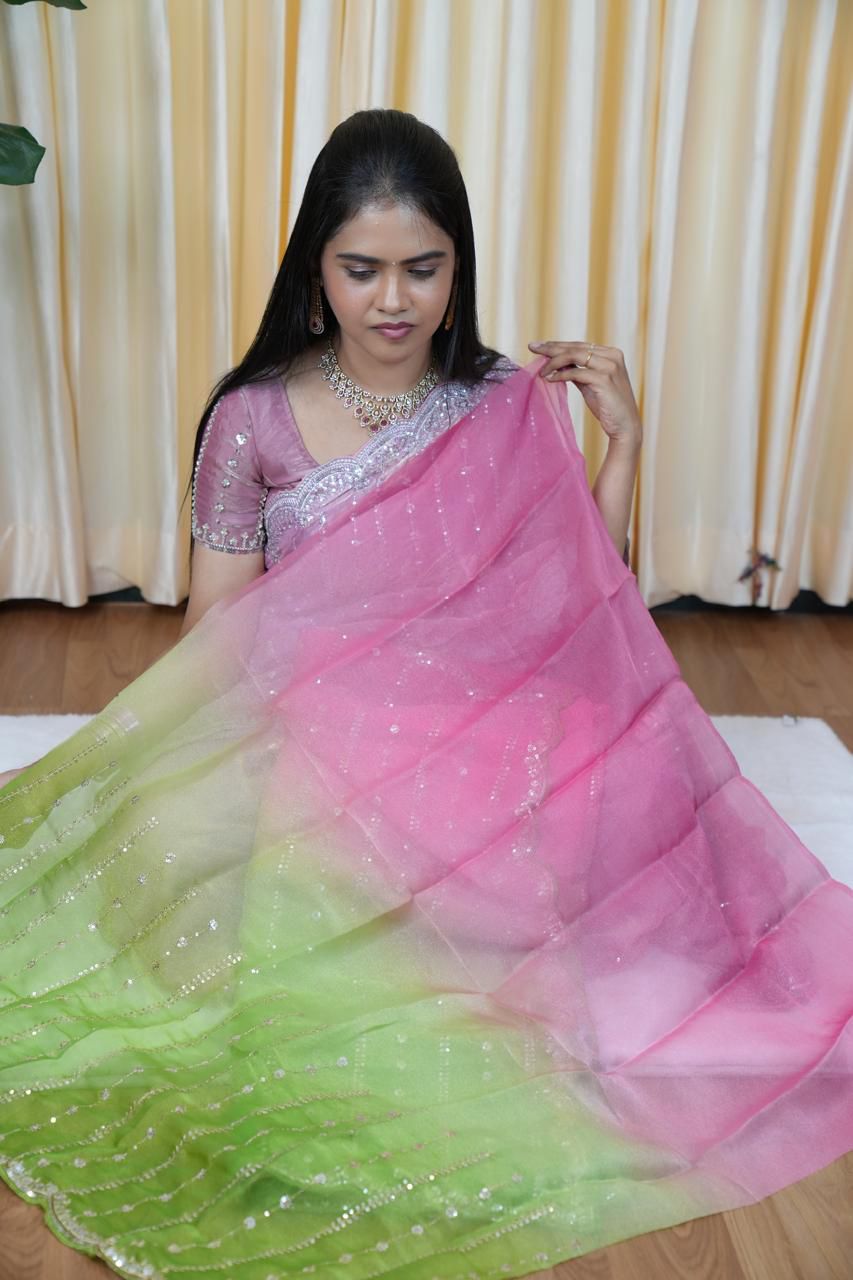 Organza fabric with jumky work 😎🥰🌈