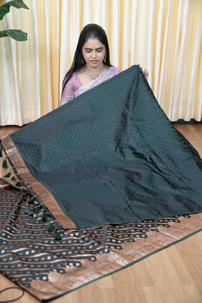 Paithani semi silk saree😎🥰