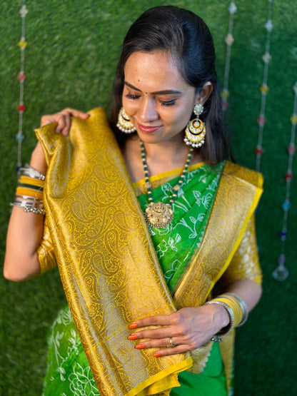 Warm silk saree yyy