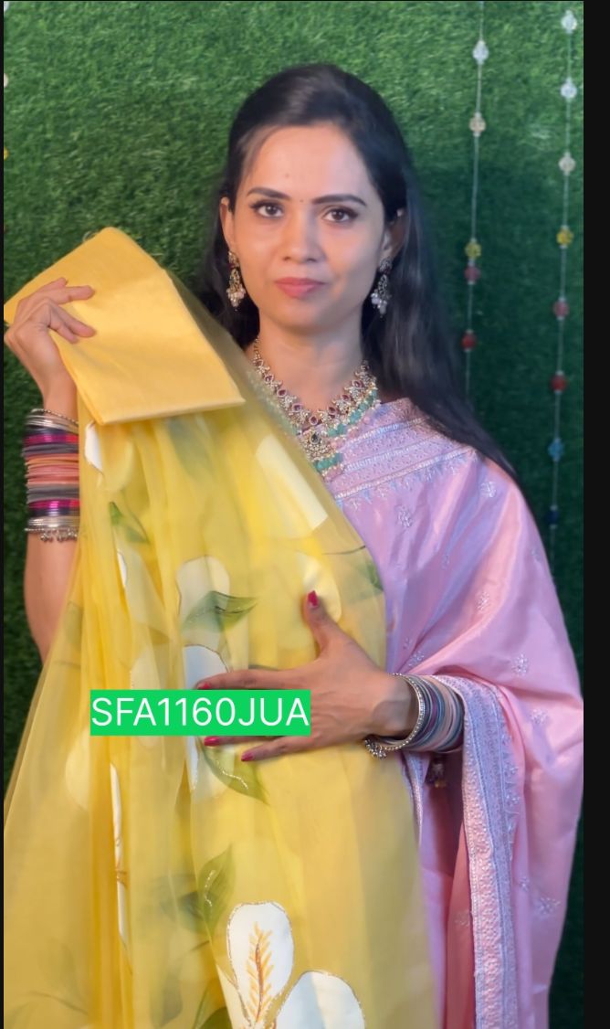 Organza saree