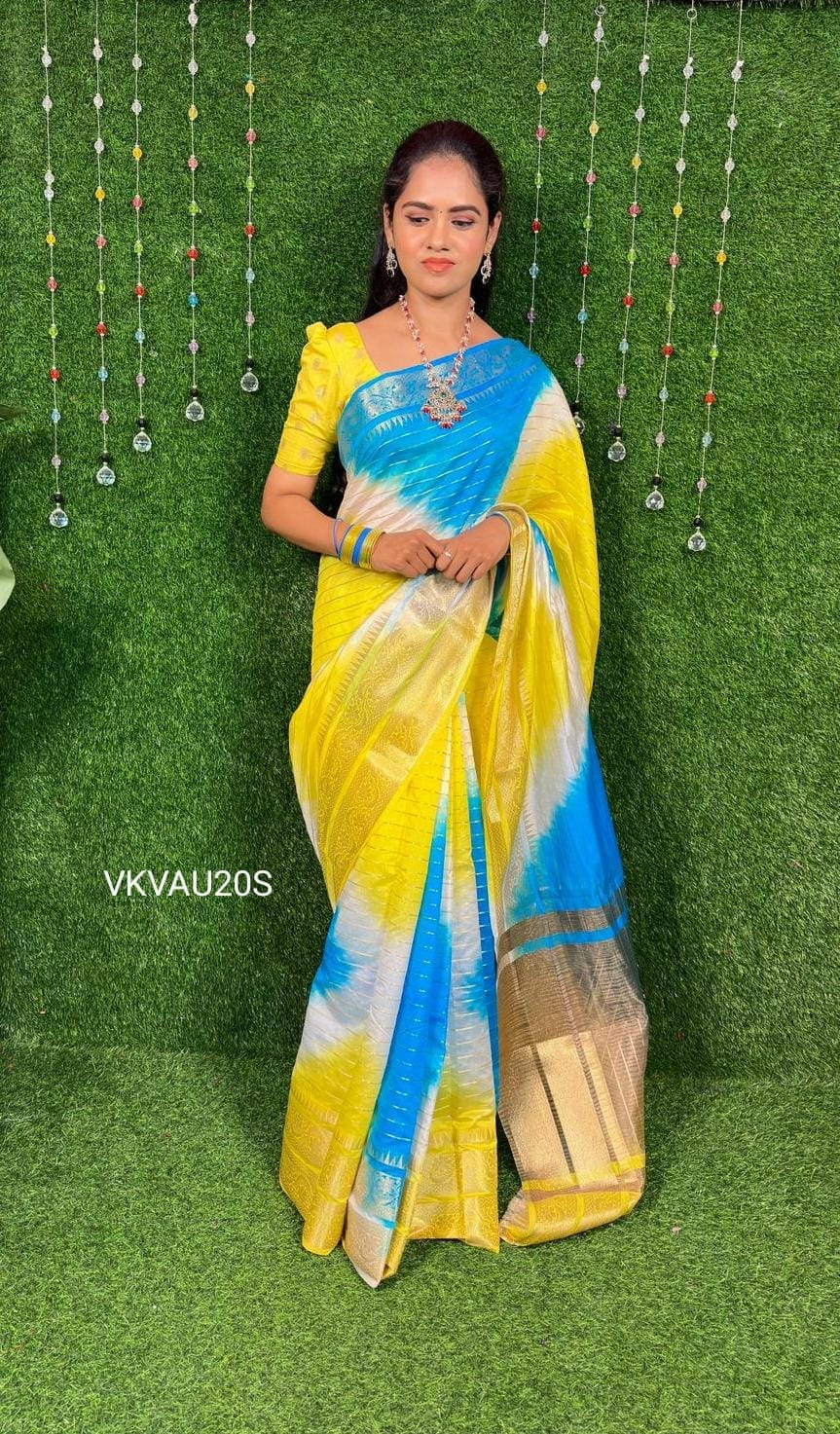 Warm silk saree..YYY