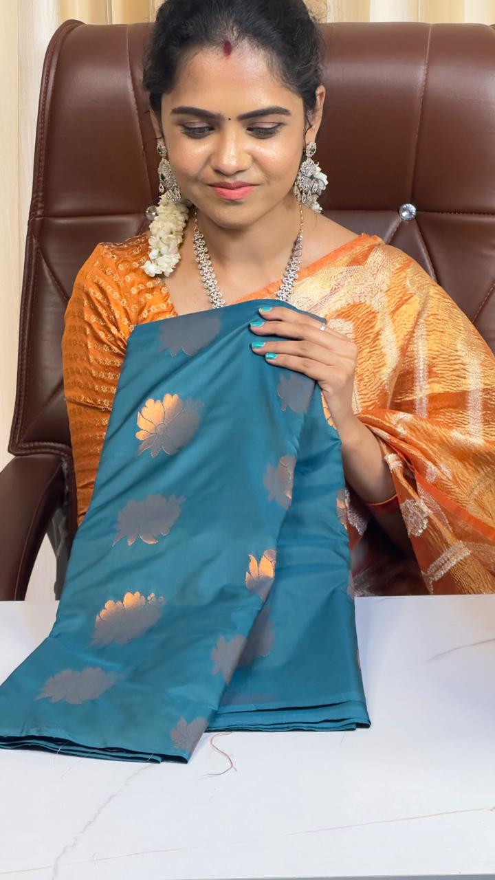 Borderless semi soft silk saree