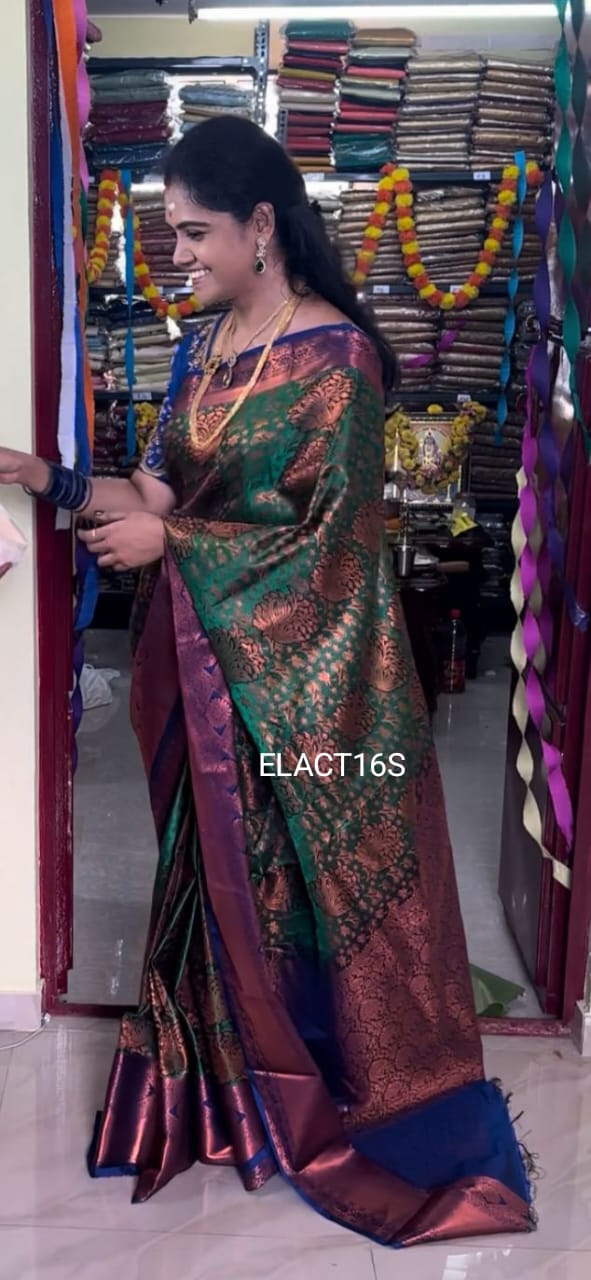 Nikki Galrani inspired saree