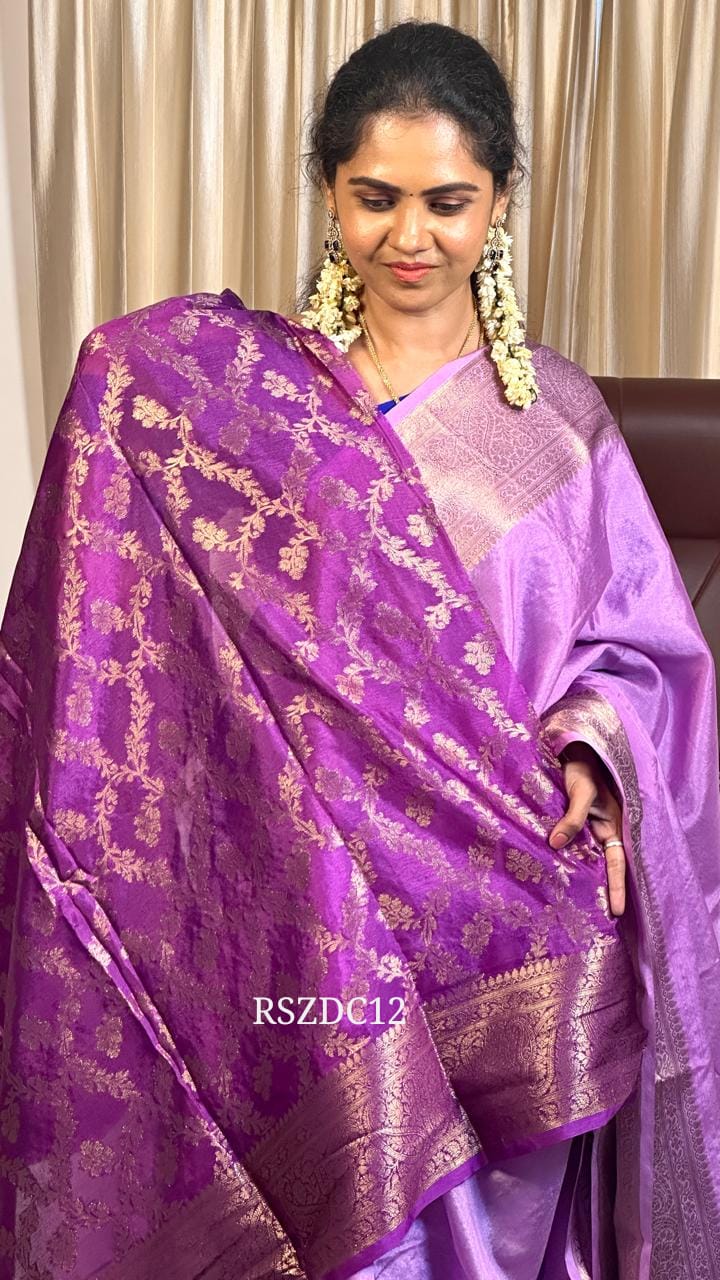 Warm silk saree with small border