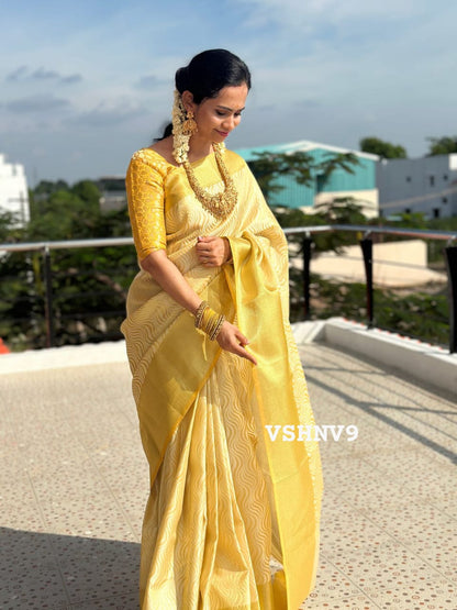 Katan tissue silk saree🥰