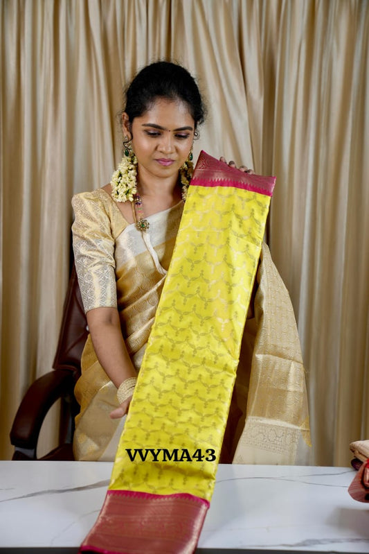 Premium banarasi pattu saree🥰