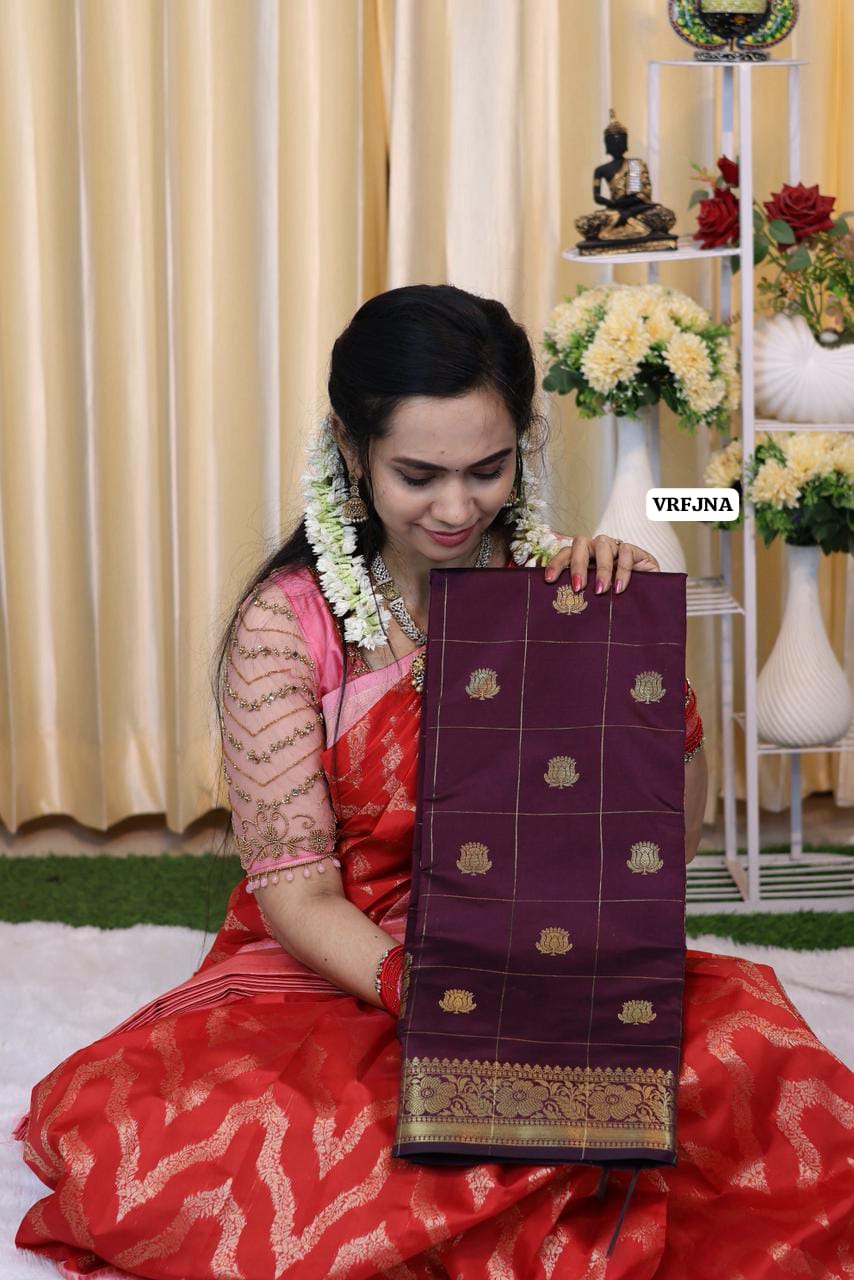Katan semi silk saree with zari checks at affordable prices🥳