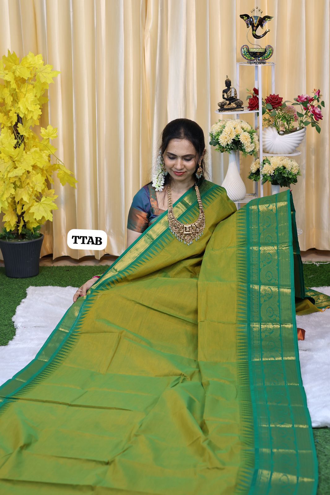 Kanchi cotton saree 😍😎