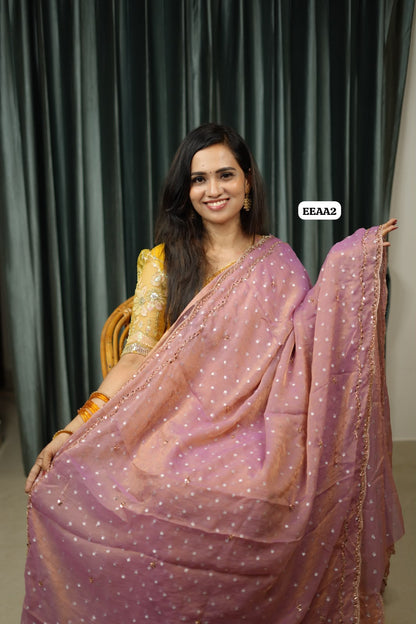 Chiffon stone work saree😍🥳