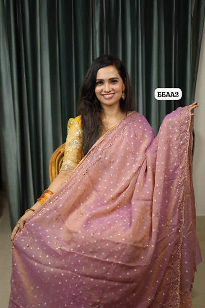 Chiffon stone work saree😍🥳