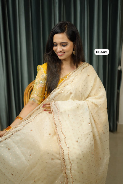 Chiffon stone work saree😍🥳