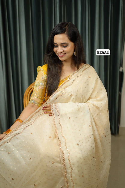 Chiffon stone work saree😍🥳