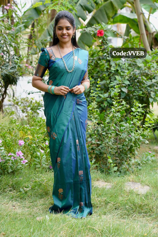 Soft silk saree🥰😎📚