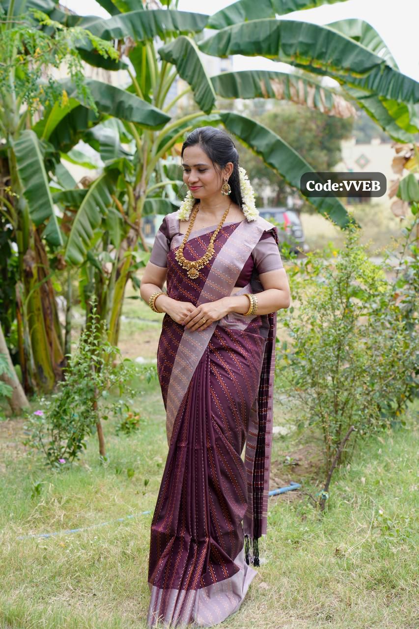 Soft silk saree🥳