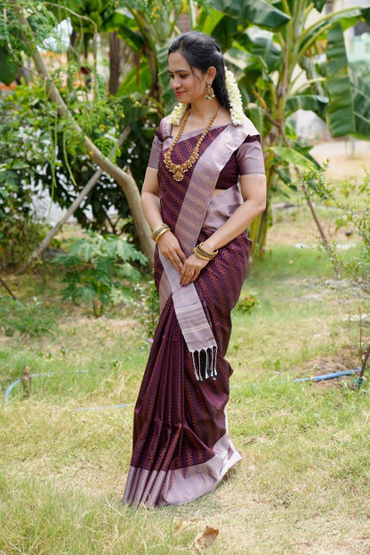 Soft silk saree🥳