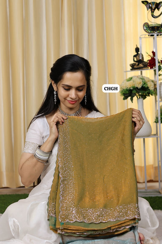 Christmas special Premium quality jarkhand work with cutwork border🥳