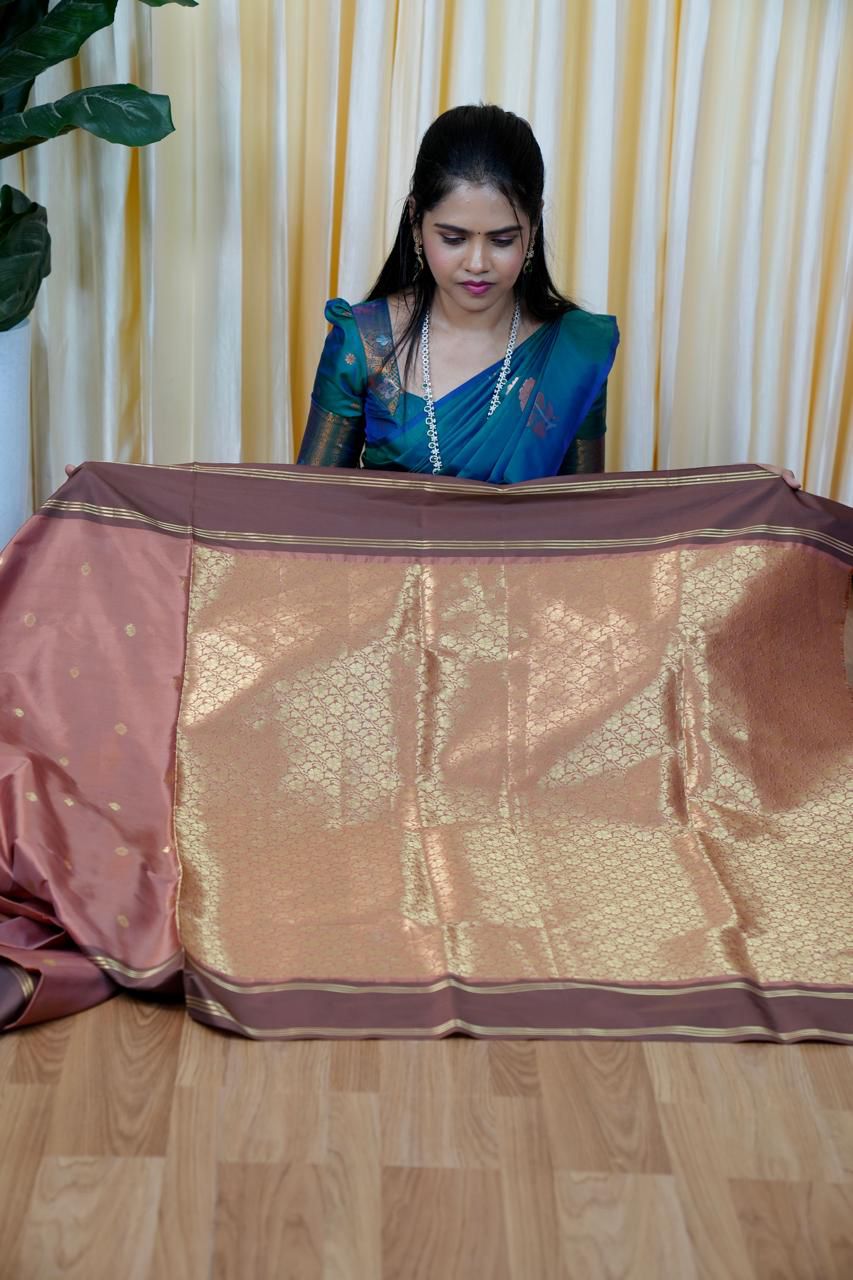 Kanchi soft silk saree🥰