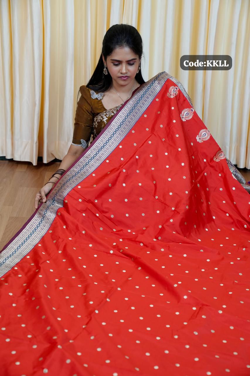 Soft silk saree with Butta’s concept 🥰🥳