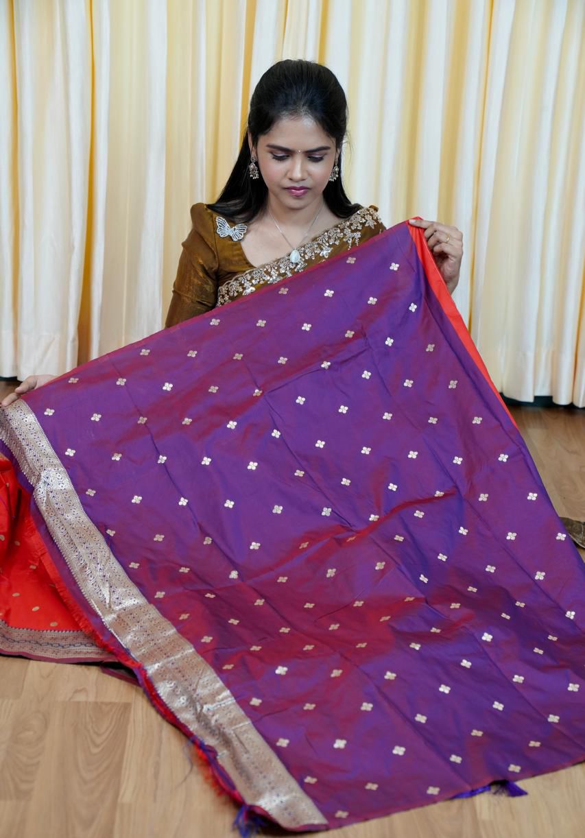 Soft silk saree with Butta’s concept 🥰🥳