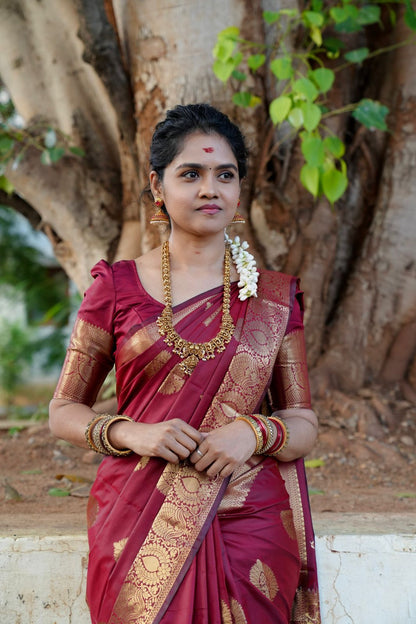 Soft silk sarees🥳