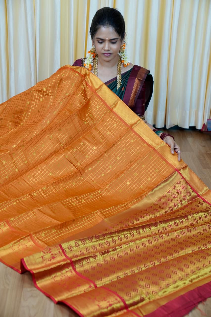 Katan silk saree🥳
