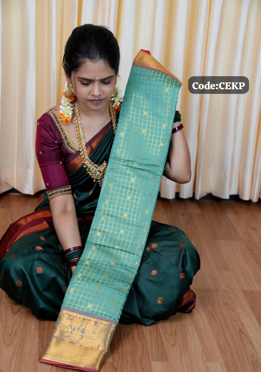Katan silk saree🥳