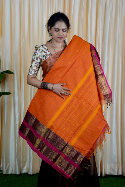 Kanchi Cotton saree❌