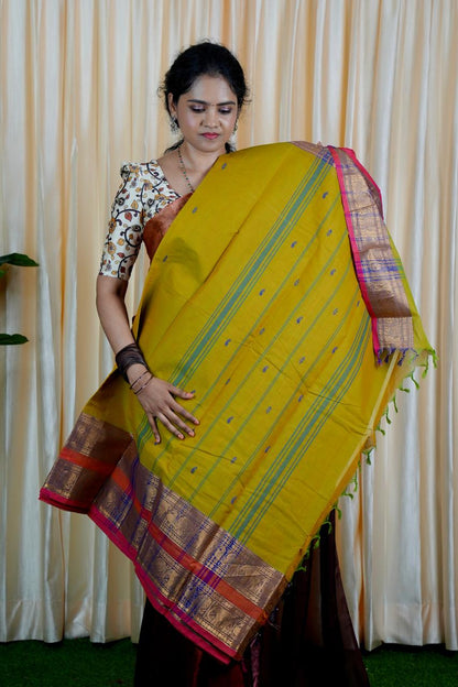 Kanchi cotton saree❌