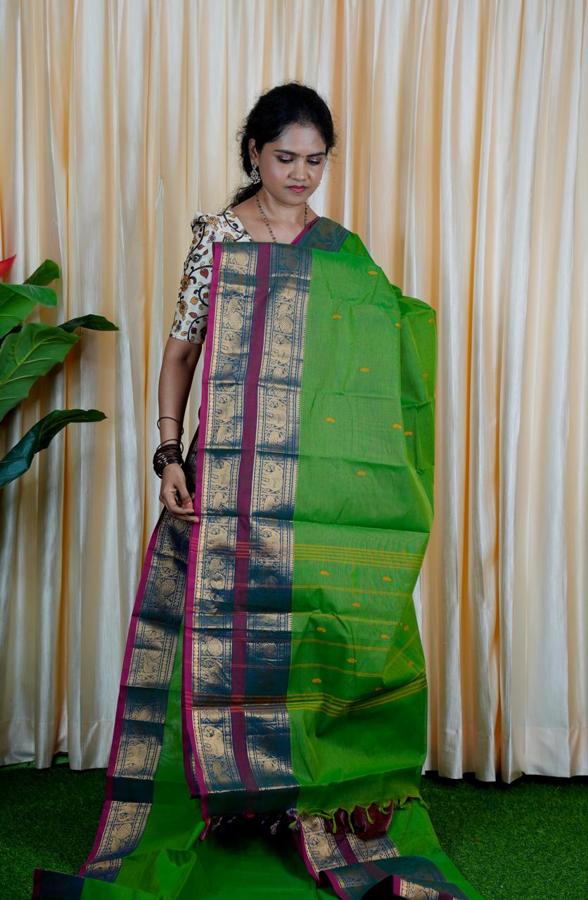 Kanchi cotton saree❌