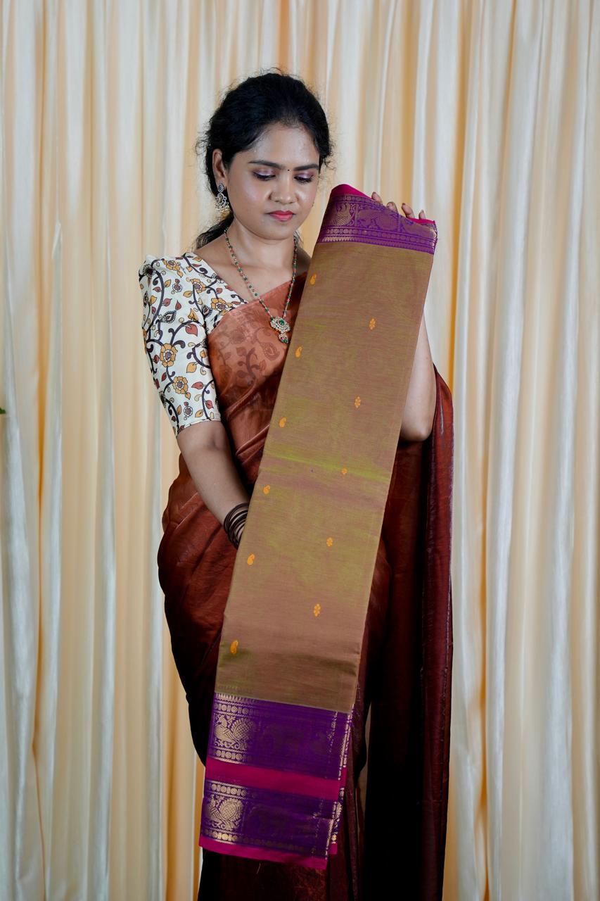 Kanchi cotton saree ❌
