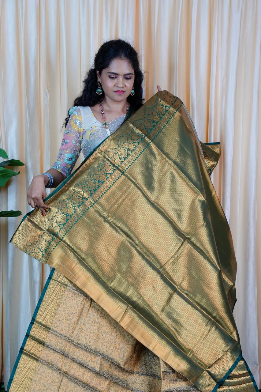 Kanchipuram inspired silk saree🍄🥳