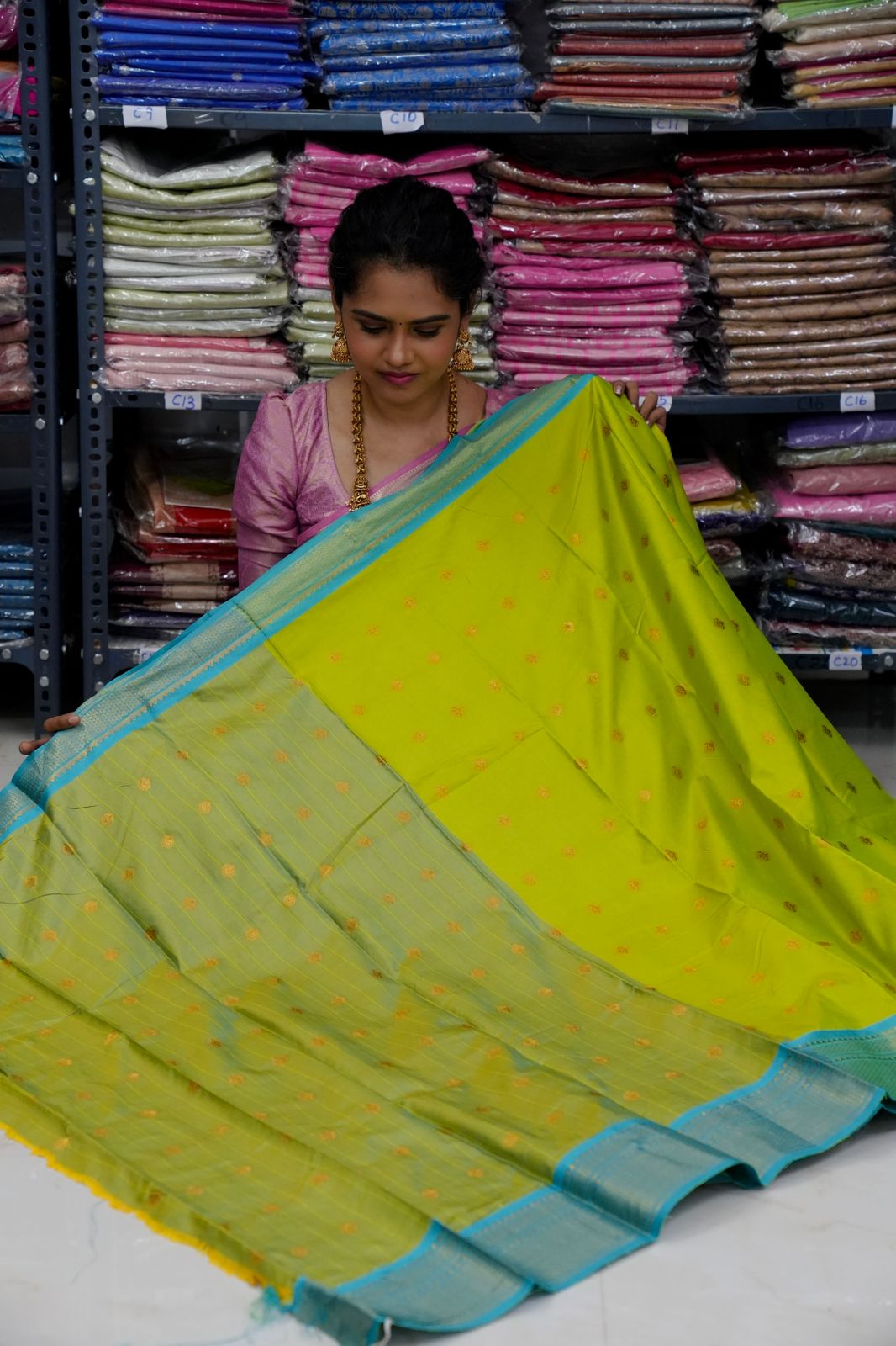 Kanchi Soft silk Sarees