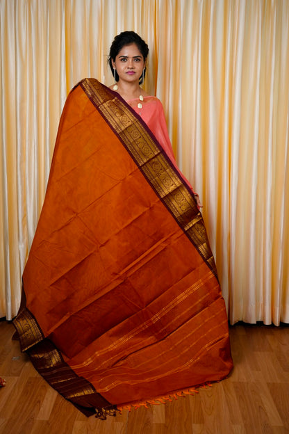 Premium Kanchi cotton sarees🥰😎📚
